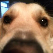 Colleen Doucet's photo