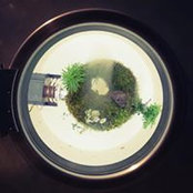 道幸悟's photo