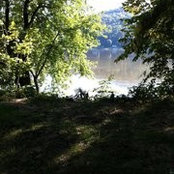 Tammy Boyle's photo