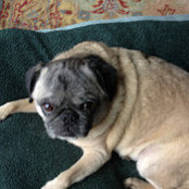 Amy Bradley's photo