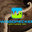 Woodpecker Ventures Inc.