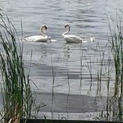 Foto von Bekki Butler McDonald Wilkins