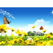 Tammy Harris's photo