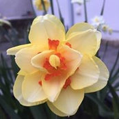 Foto von Jane Gordon
