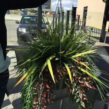 SPW OUTDOOR