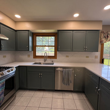 From Dated to Dream Kitchen – Grayslake, IL