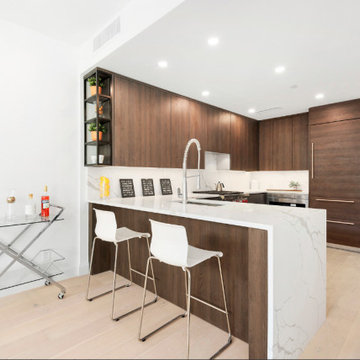 Brooklyn, NY. Boutique Condos