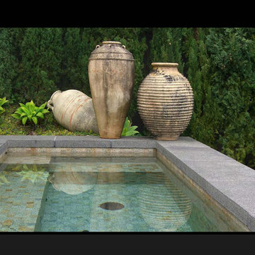 Belvedere Wiseman