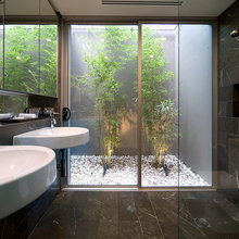 Bathroom garden