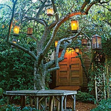 Landscaping - Misc. Ideas