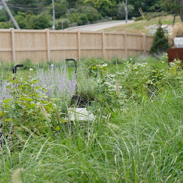 Modern Oceanfront Landscape - Cohasset
