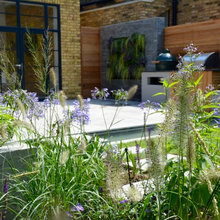 Landscape Ideas