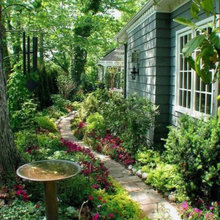 Landscape Ideas
