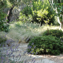 Mediterranean Garden