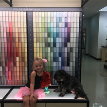 flowermoundpaint's ideas