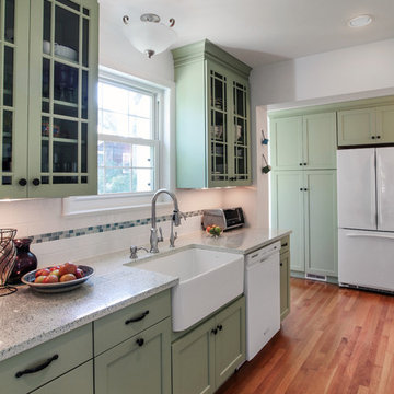 Washington D.C. - Green Transitional Kitchen