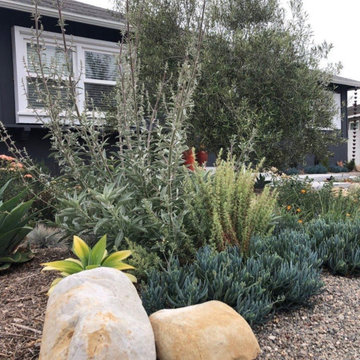 Modern Curb Appeal in Ventura