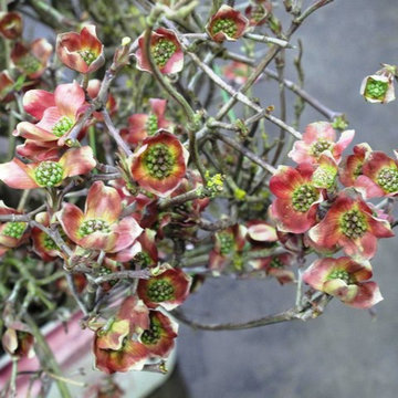 Slow Flowers' March Inspiration: Design with Flowering Branches