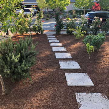 Novato Front Yard Edit