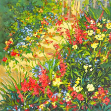 sandra_tingle's ideas
