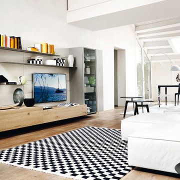 Helles Wohnzimmer mit Designer-Wohnwand