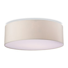 Light