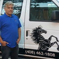 Horse Glass and Mirror's profile photo