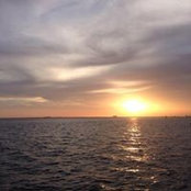 Joel Pena's photo