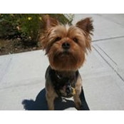 Anne Miano's photo