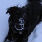 Porter-Ann Whiteside's photo