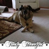 Stephanie Bass's photo
