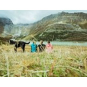 Frau K's photo