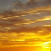 Wesley Barrow's photo