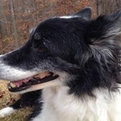 Kevin Coleman's photo