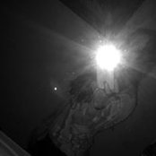 Ashley Cushman's photo