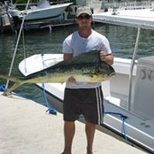 Daniel Samess's photo
