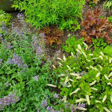 The Immersive Garden