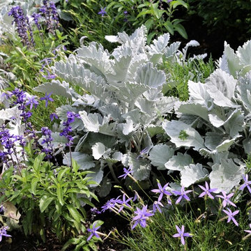 Garden Walks
