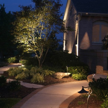 Our Work