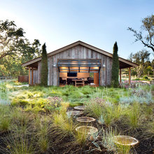 Landscaping ideas