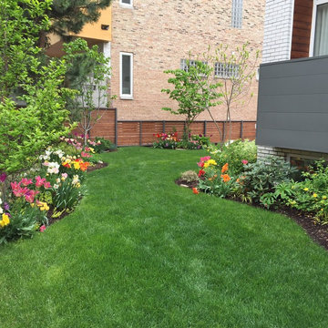 Chicago-Noble Square Side Yard