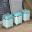 Stainless Steel Canisters, Peacock, Set of 3