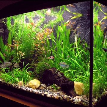 Fish Tank & Aquarium Maintenance and Cleaning Services in Connecticut