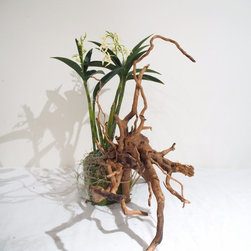 Bush Vine - Sculptures