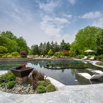 Barrington Hills, IL Freeform Perimeter Overflow with Perimeter Overflow Hot Tub