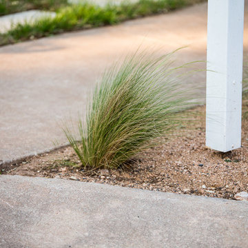 South Austin Backyard Social Club