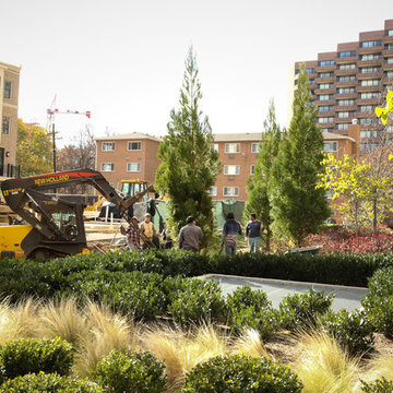 Greening the urban jungle