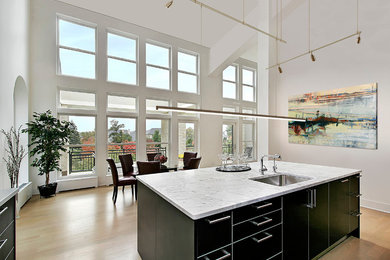 Example of a trendy kitchen design in Chicago