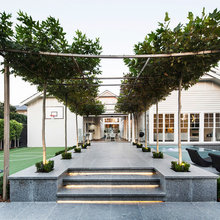 Frontyard