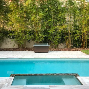 Casa Neotera